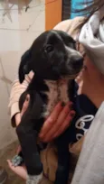 Tobias e Biscoito