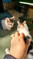 Fritz e frida