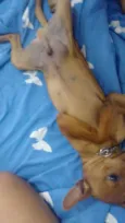 Marley