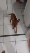 Marley