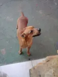 Bob