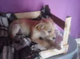 KiKa