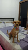 nina