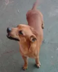 Bob