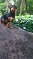 Minnie