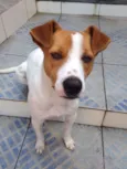 Lucky