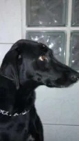 Meg