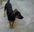 Bella