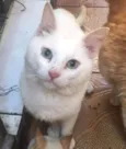 Zé