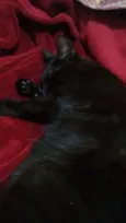 Mia