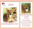 Lola Bebezinha 