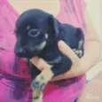 Ainda não possui nom