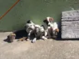Ainda não possui nom