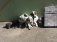 Ainda não possui nom