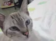 Marieta