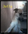 jully