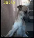jully