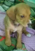 Mel,Pitty e Bolinha