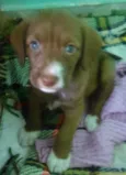 Mel,Pitty e Bolinha