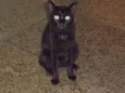 Zulu