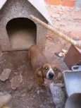 Thor e Pandora 