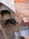 Thor e Pandora 