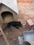 Thor e Pandora 