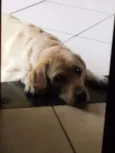 Jully