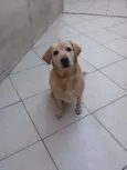 Jully