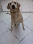 Jully