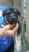 Bella