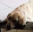 Jully