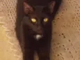 Zulu