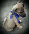 EROS