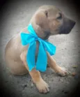 ATHOS