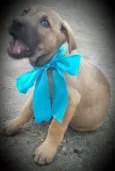 ATHOS