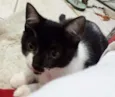 Sara