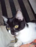Sara