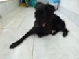 Lili