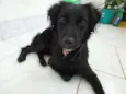 Lili