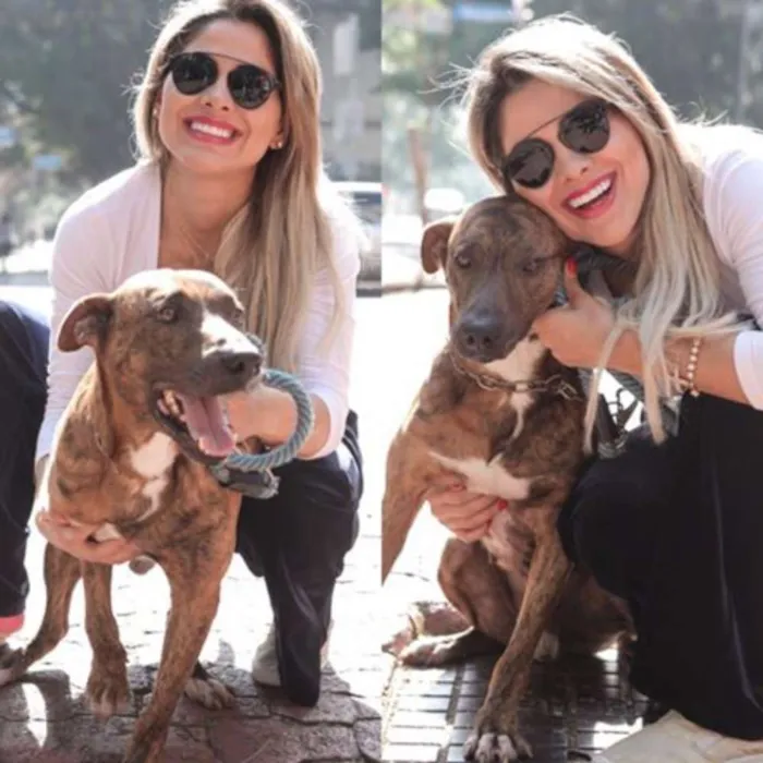 Cachorro ra a Fila Brasileiro idade 2 anos nome Meninão