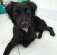 Lili