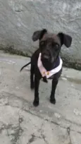 tieta