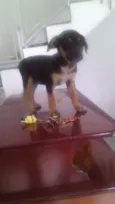 Magali