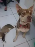 Jack
