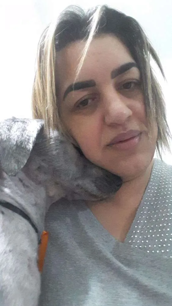 Cachorro ra a Poodle idade 2 anos nome Pitoko