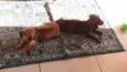 Patati e Patatá