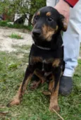 Caju e Amora