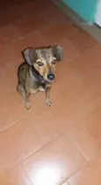kiko
