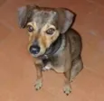 kiko